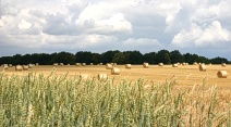 Reiseziele und Regionen in Hessen